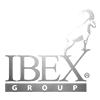 logo ibex group grigio